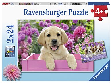 Puslespill 2X24 Hundevalper Ravensburger