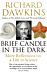 Brief Candle in the Dark