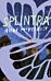 Splintra