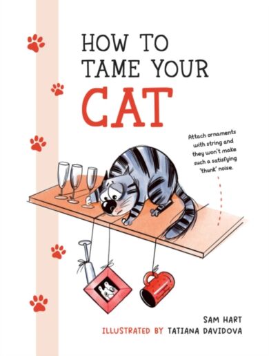 How to Tame Your Cat