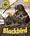 Wildlife Watchers: Blackbird