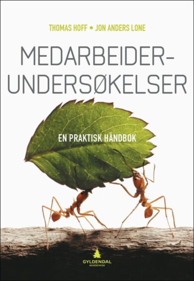 Medarbeiderundersøkelser