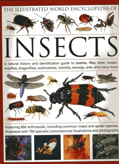 The Illustrated World Encyclopaedia of Insects