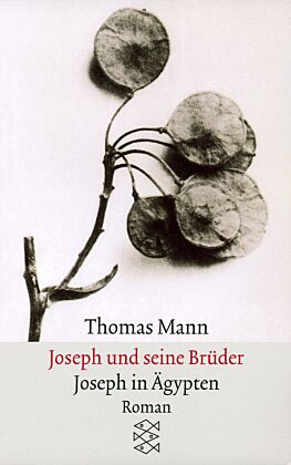 Joseph und seine Brüder III