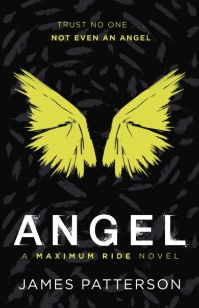 Angel: A Maximum Ride Novel