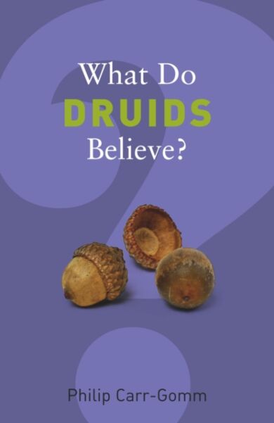 What Do Druids Believe?