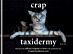 Crap Taxidermy