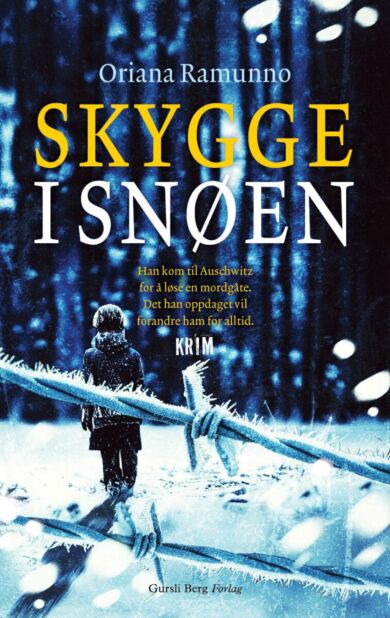 Skygge i snøen