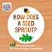 How Does a Seed Sprout?