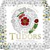 Colouring History: The Tudors