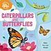 Caterpillars and Butterflies