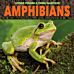 Amphibians