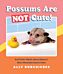 Possums Are Not Cute