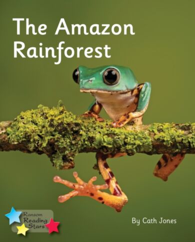 The Amazon Rainforest