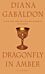 Dragonfly in Amber