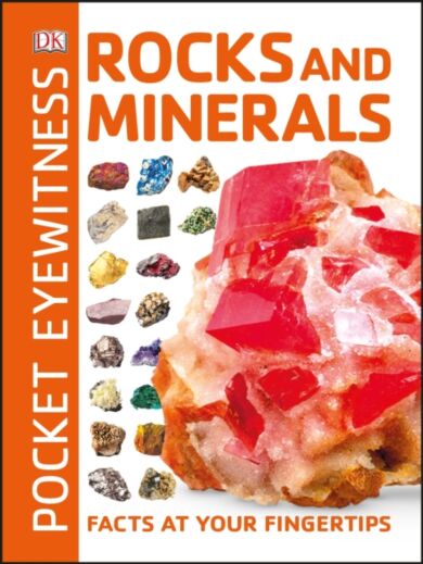 Pocket Eyewitness Rocks and Minerals