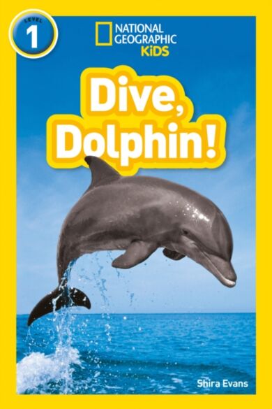 Dive, Dolphin!