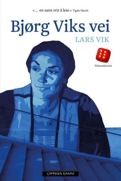 Bjørg Viks vei