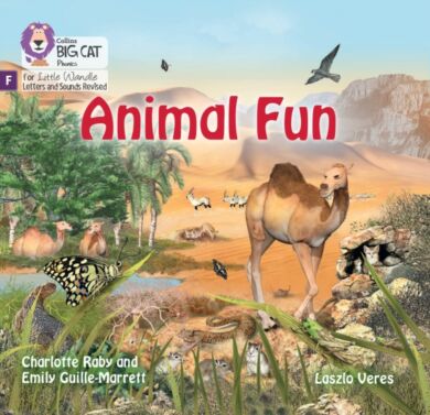 Animal Fun