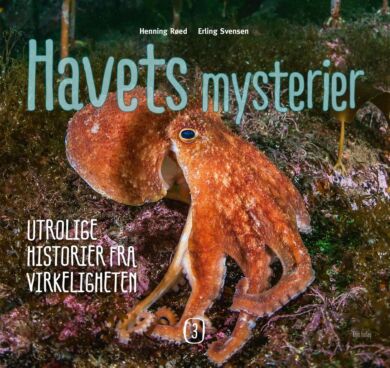 Havets mysterier 3