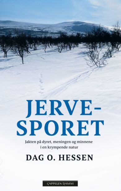 Jervesporet