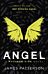 Angel: A Maximum Ride Novel