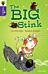 Oxford Reading Tree All Stars: Oxford Level 11: The Big Stink