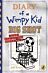 Diary of a Wimpy Kid: Big Shot (Book 16)