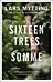 The sixteen trees of the Somme