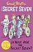 Secret Seven Colour Short Stories: Where Are The Secret Seven?