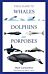 Field Guide to Whales, Dolphins and Porpoises