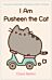 I Am Pusheen the Cat