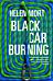 Black Car Burning