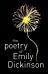 The Poetry of Emily Dickinson