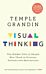 Visual Thinking