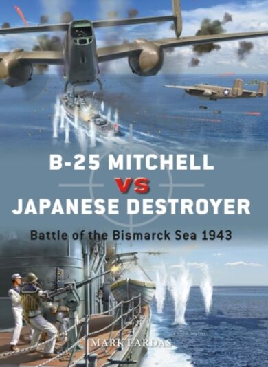 B-25 Mitchell vs Japanese Destroyer