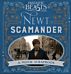 Fantastic Beasts and Where to Find Them ¿ Newt Scamander