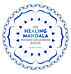 Healing Mandala Pocket Colouring Book