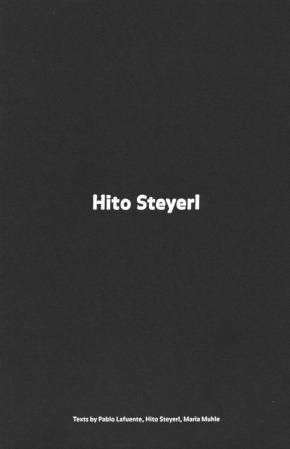 Hito Steyerl