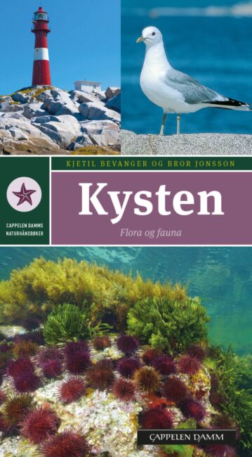 Kysten