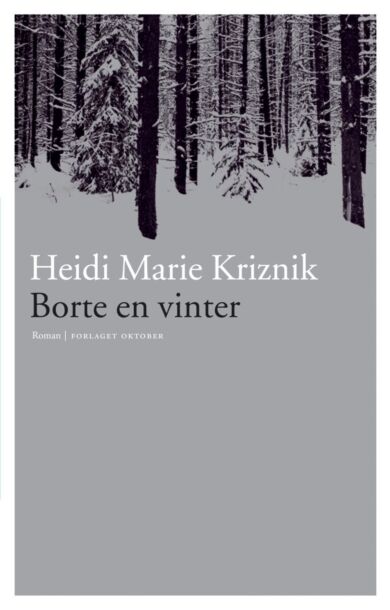 Borte en vinter