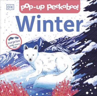 Pop-up Peekaboo! Winter