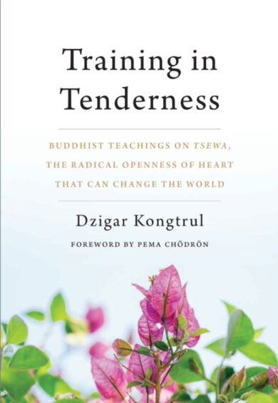 Training in Tenderness