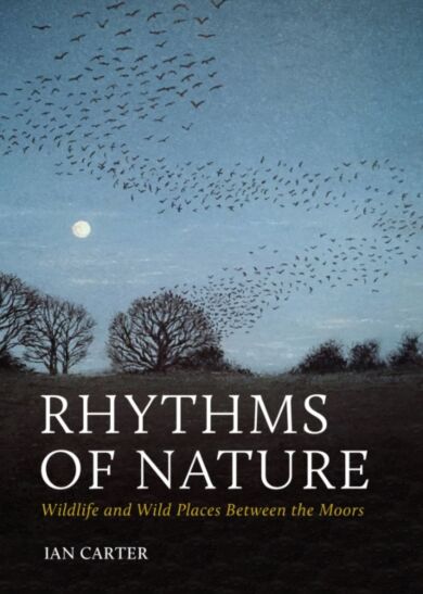 Rhythms of Nature