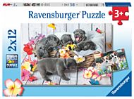 Puslespill 2x12 Små Pelsballer Ravensburger