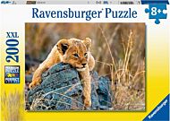 Puslespill 200 Løveunge Ravensburger