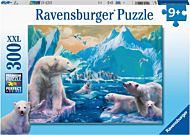 Puslespill 300 Isbjørner Ravensburger