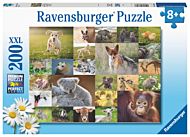 Puslespill 200 Dyrebarn Ravensburger