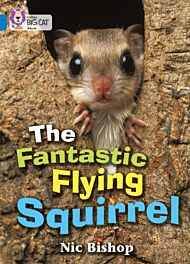 The Fantastic Flying Squirrel