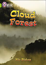 Cloud Forest